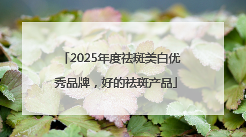 2025年度祛斑美白优秀品牌，好的祛斑产品