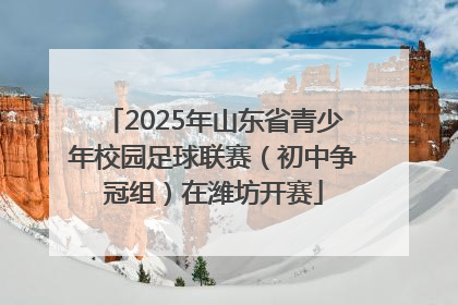 2025年山东省青少年校园足球联赛（初中争冠组）在潍坊开赛