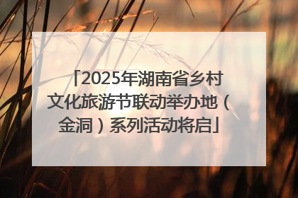 2025年湖南省乡村文化旅游节联动举办地（金洞）系列活动将启