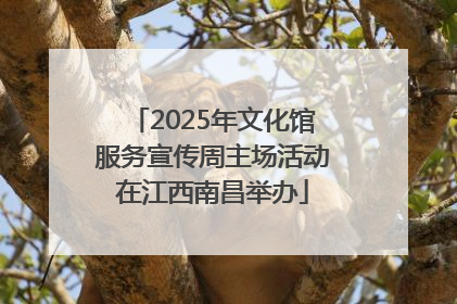 2025年文化馆服务宣传周主场活动在江西南昌举办