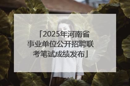 2025年河南省事业单位公开招聘联考笔试成绩发布