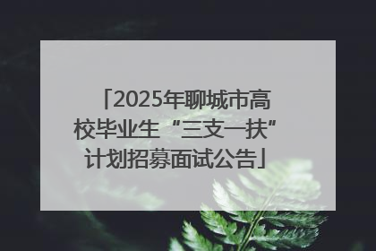 2025年聊城市高校毕业生“三支一扶”计划招募面试公告