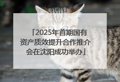 2025年首期国有资产质效提升合作推介会在沈阳成功举办