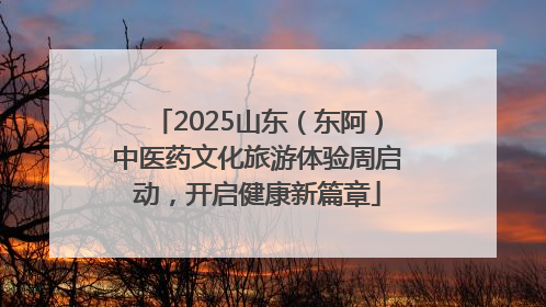 2025山东（东阿）中医药文化旅游体验周启动，开启健康新篇章