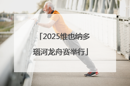 2025维也纳多瑙河龙舟赛举行