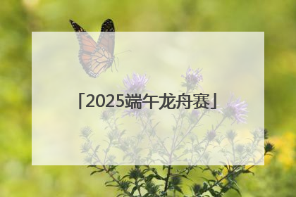 2025端午龙舟赛