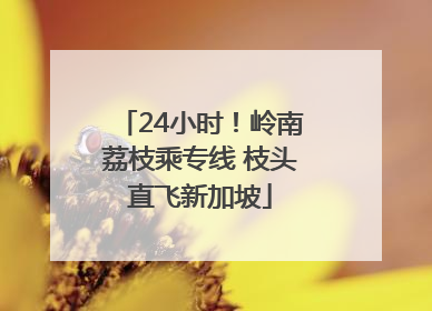 24小时！岭南荔枝乘专线 枝头直飞新加坡