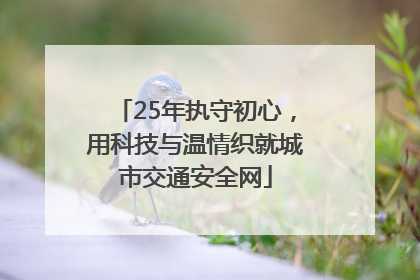 25年执守初心，用科技与温情织就城市交通安全网