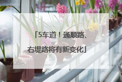 5车道！通顺路、右堤路将有新变化