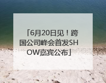6月20日见！跨国公司峰会首发SHOW嘉宾公布